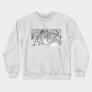 Snow covered trees in a forest after a winter snowstorm Crewneck Sweatshirt